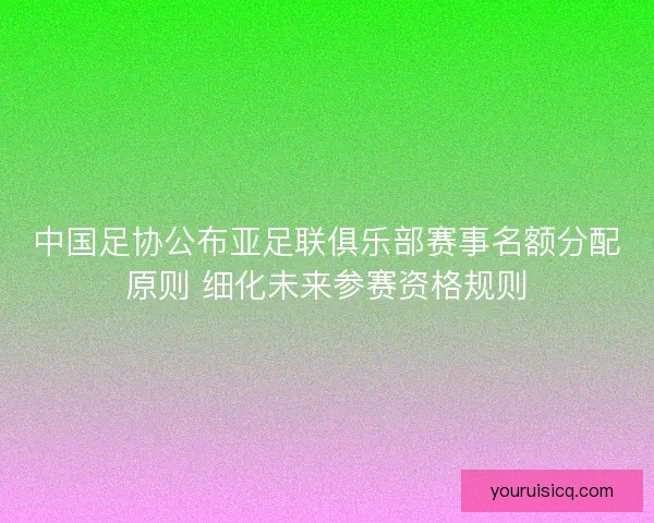 中国足协公布亚足联俱乐部赛事名额分配原则 细化未来参赛资格规则